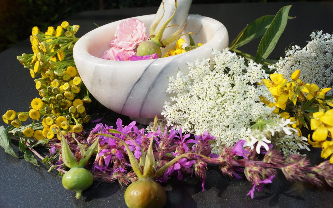 Cómo el Ayurveda Incrementa la salud y la longevidad